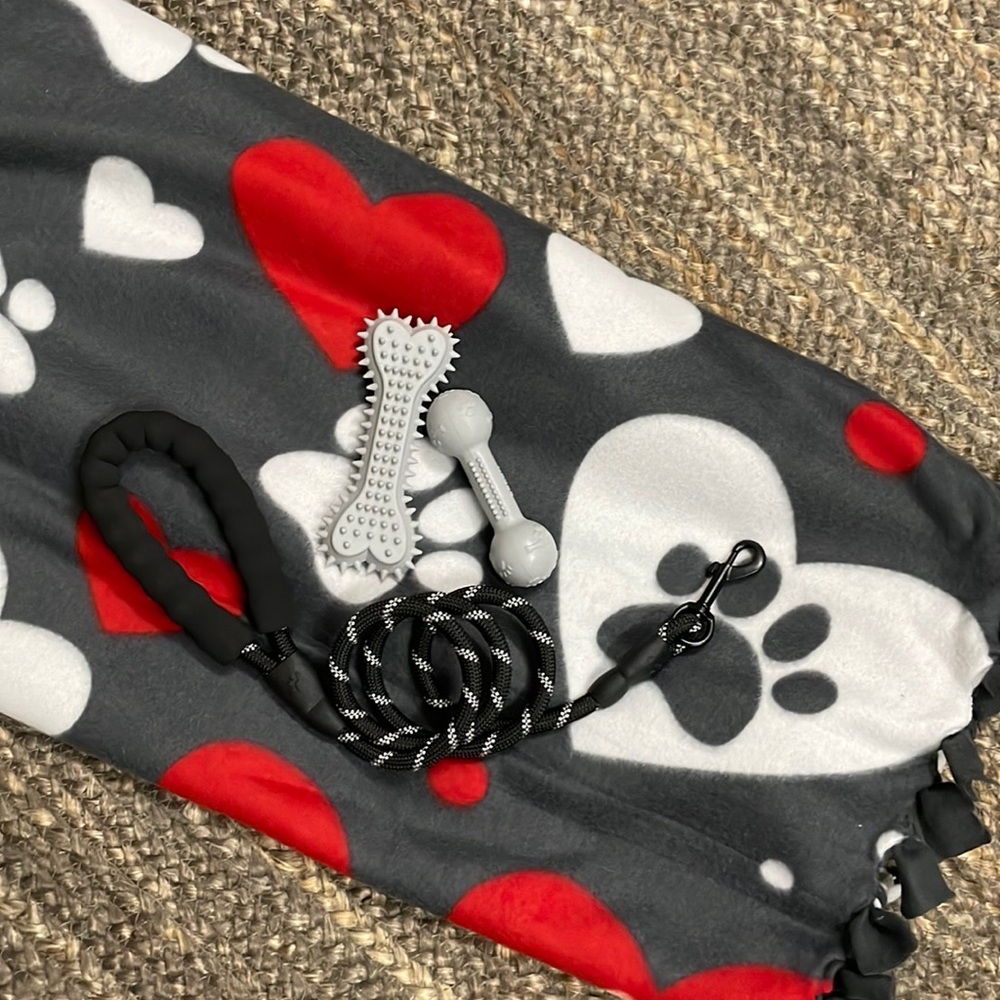 Brand New 🆕🐾♥️ Neon Yellow Pet Pack w/Fleece Blanket, Leash & Chew Toys - Picture 4 of 5